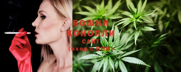 стафф Билибино