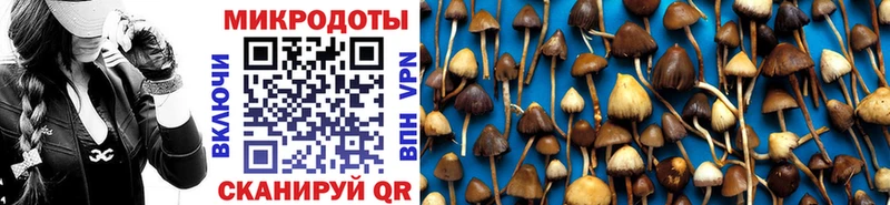где найти   Нариманов  Галлюциногенные грибы мицелий 